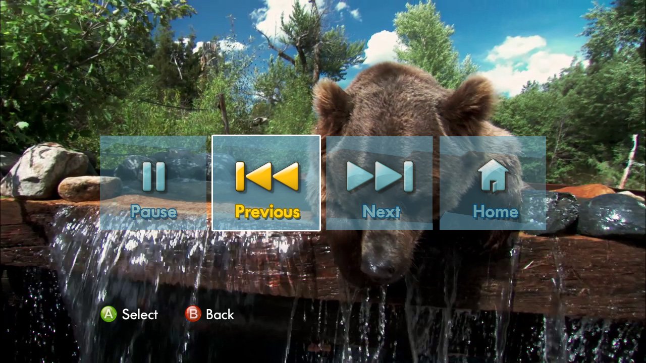 Gesture Interface