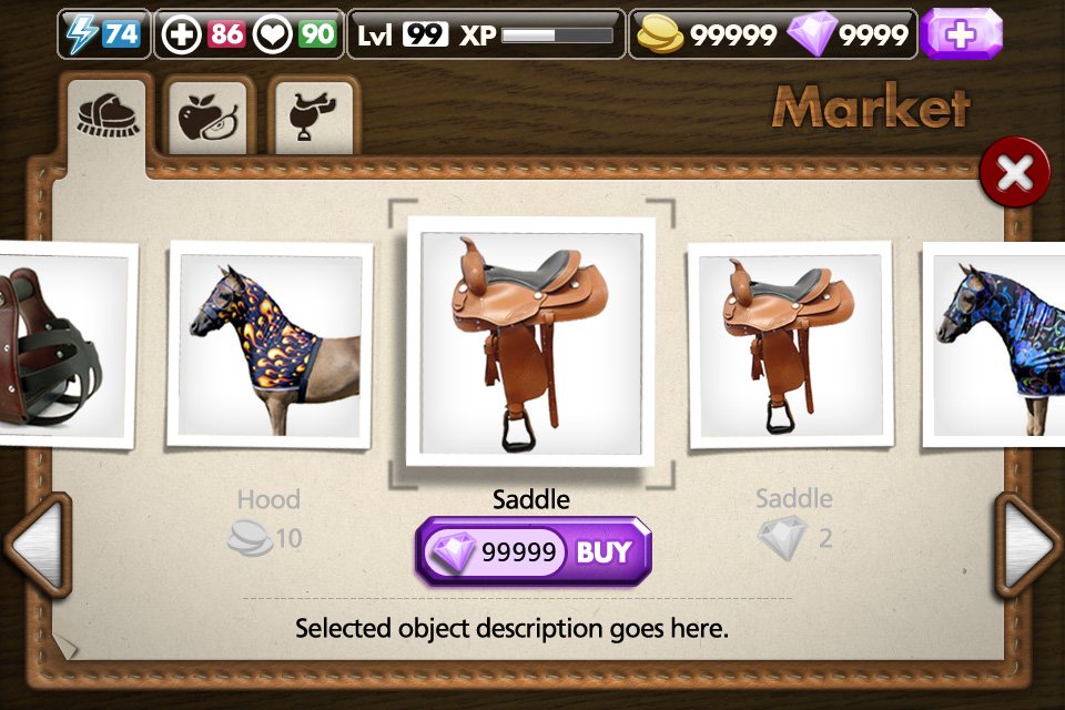 My Horse